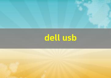 dell usb